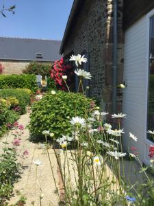 Maisons d'hotes Le cottage normand : photos des chambres