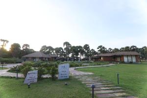 LA PALMERA