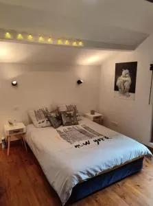 Jolie chambre d'hôtes - Iteuil