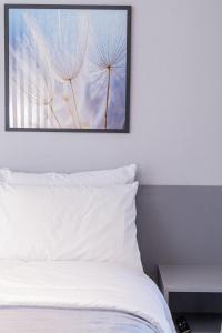 Apartamento DSG 604 Suíte e com Sofa Cama Casal