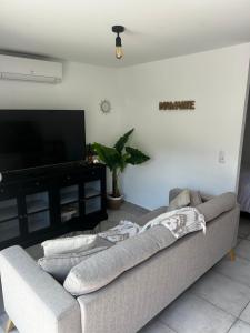 Maisonnette 32m2 climatisé avec jacuzzi au calme.