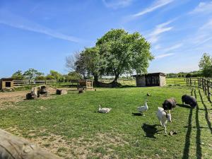 Campings Evasion Normande : photos des chambres