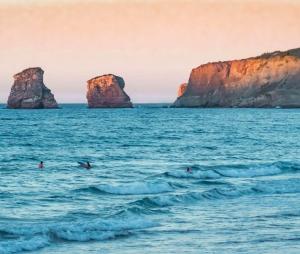 Appartements FACE A LA PLAGE Terrasse-Parking-Wifi-Draps et Serviettes : photos des chambres