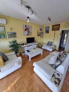 Apartman Swiss