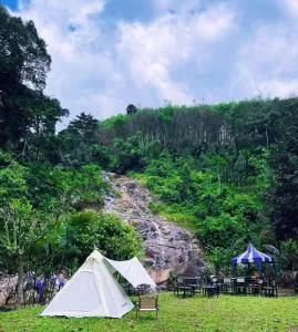 ท่าเเพ ฟอเรสต์ รีสอร์ต - 兰萨卡