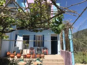 Aegean Melinda - Vatera