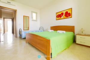 Orchidea Flat - Roca