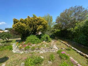 Maisons de vacances Ile d oleron Vertbois, Villa Bois Piscine et mer : Villa