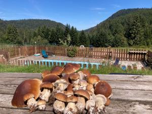 Appartements Le Perchoir- Grand Valtin 6 pers : photos des chambres