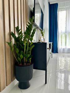 Blisko Gór Szyndzielnia