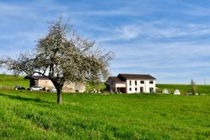 Appartements Charmant gite, au calme, avec vue imprenable sur la nature environnante : photos des chambres