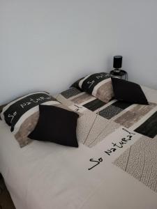 Bel appartement avec Balnéo