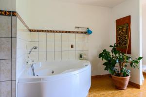 Maisons de vacances Gite La Ramee : photos des chambres