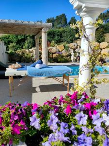 B&B / Chambres d'hotes La demeure d'Aphrodite : photos des chambres