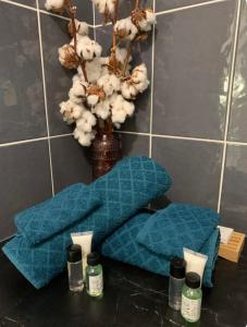 Appartements Le tout a pied! : photos des chambres