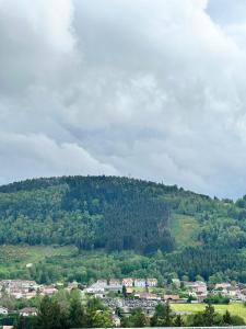 Appartements CAN appart spacieux avec grand jardin et terrasse 1 a 8 pers : photos des chambres
