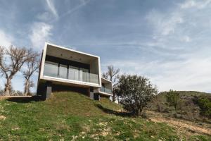 Pachán Dehesa Boyal