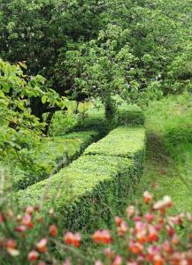 Stylish Scottish Manor, Coillemore House