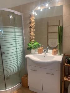 Maisons de vacances Logement a Vallecalle village du nebbio : photos des chambres