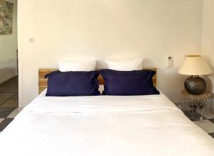 VILLA ARVOR CANNES Appartement indépendant en bas de maison