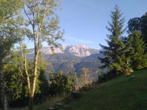 Chalets Combe des Feux : photos des chambres