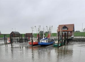 Nurdachhaus ASMUS HUUS