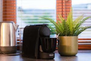 Green Comfort inside or outside