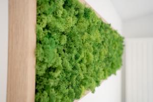 Ostseecamp Casa de la Playa