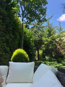 Zielone zacisze na Kamiennej Górze w Gdyni