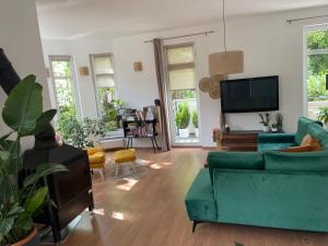 Zielone zacisze na Kamiennej Górze w Gdyni