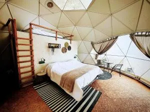 Amaya Experience - 阿斯皮缇亚