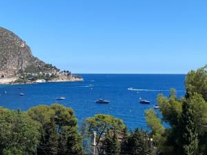 Appartements Luxury Villa with Pool & Sea View-10 Minutes from Monaco : photos des chambres