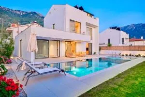 Villa İon İndoor heated pool, Sauna, Jacuzzi, Underfloor heating system - Ahatli