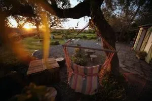 L'taï : Charmante Maison en pleine Nature ! - La Dominelais