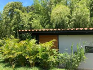 Renewal Retreat, The Aviary, Unique Sanctuary of Connection for Solos and Duets