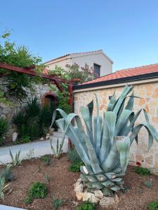 Villa Slatina near Zrce beach