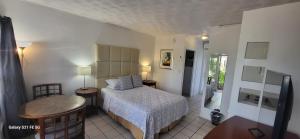 Queen Studio room in Green Island Inn
