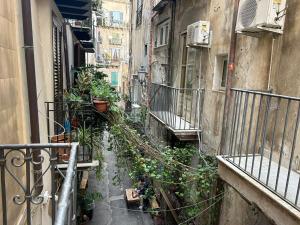 Triscele House - Corrieri