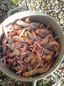 Belle maison au bord de la mer