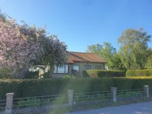 Spacious and cozy semi-basement - Flyinge