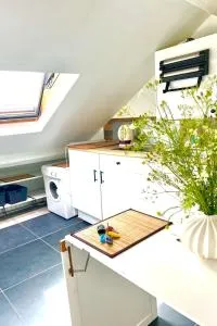 Sur les toits de Versailles - Versailles