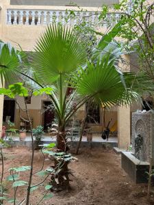 Riad Tazoulte
