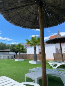 Mirador De La Vega De Cazalla