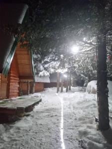 Koljensic house and bungalows