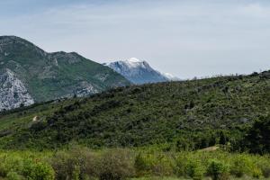 Solaris Summer Resort Apartments