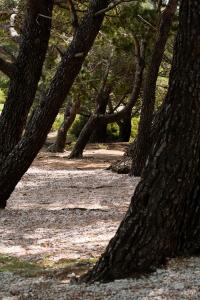 Solaris Summer Resort Apartments