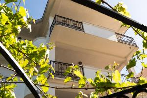 Solaris Summer Resort Apartments