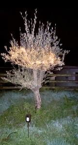 Maisons de vacances Jacuzzi BBQ Parking Maison Privee Confortable : photos des chambres