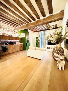 Splendid atypical loft st germain