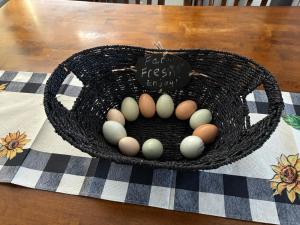 Daisy Dukes Unique Private Home on Horse Ranch!